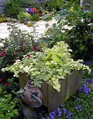 square planter